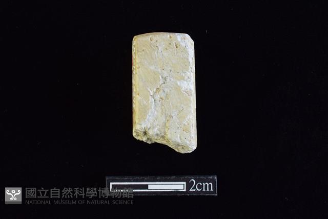 錛鑿形器藏品圖，第1張