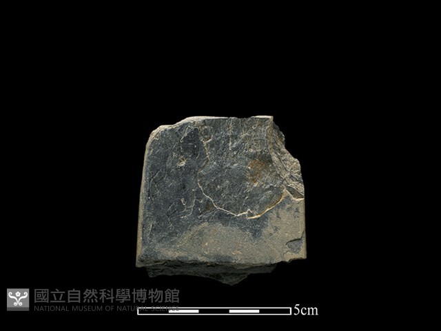 磨製斧鋤形器藏品圖，第2張