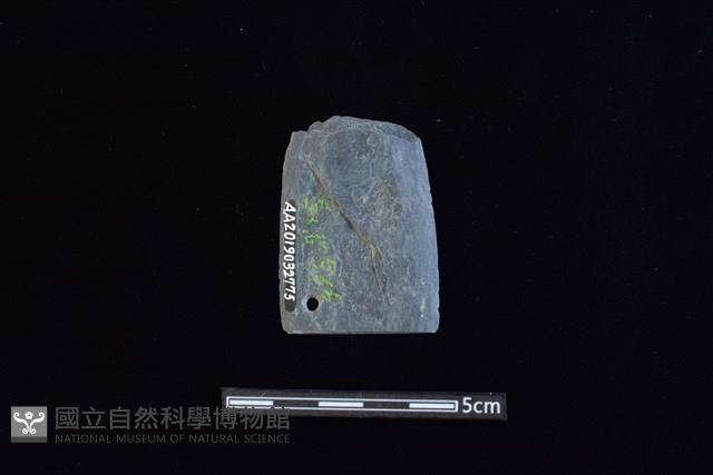 矛鏃形器藏品圖，第2張