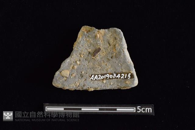 陶片藏品圖，第2張