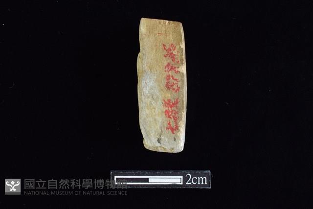 錛鑿形器藏品圖，第2張