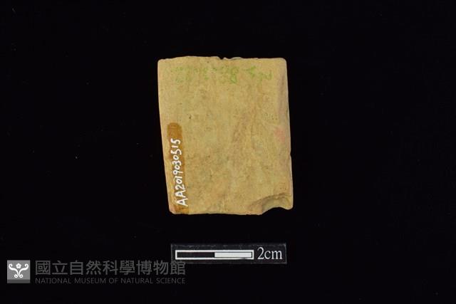 錛鑿形器藏品圖，第2張