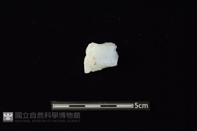 石材藏品圖，第2張