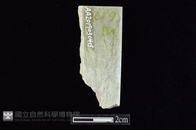 錛鑿形器藏品圖，第2張