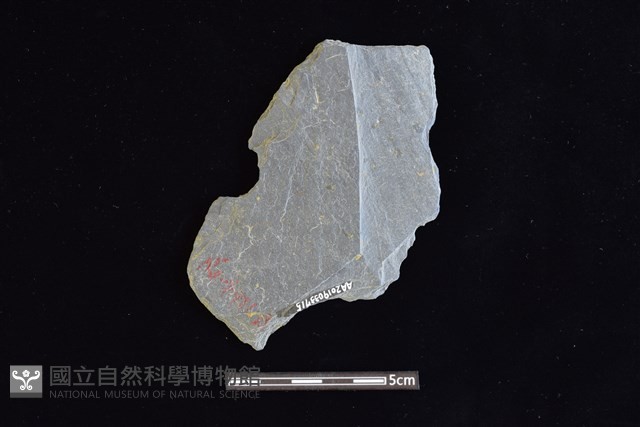 石器殘件藏品圖，第2張