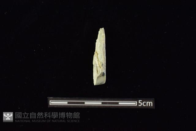 錛鑿形器藏品圖，第1張