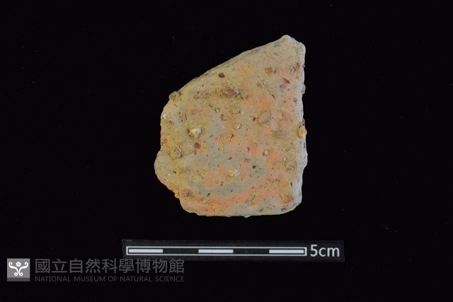 陶片藏品圖，第1張