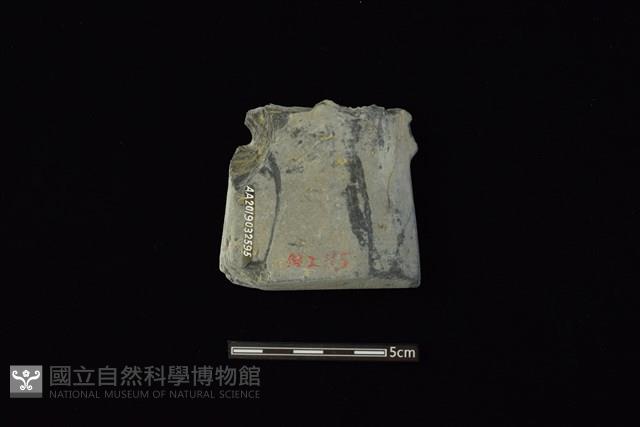 戈形器藏品圖，第2張