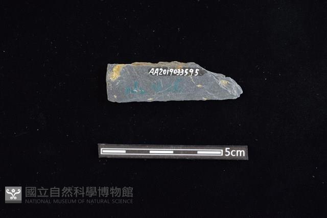 Accession Number:AA2019033595 Collection Image, Figure 2, Total 2 Figures