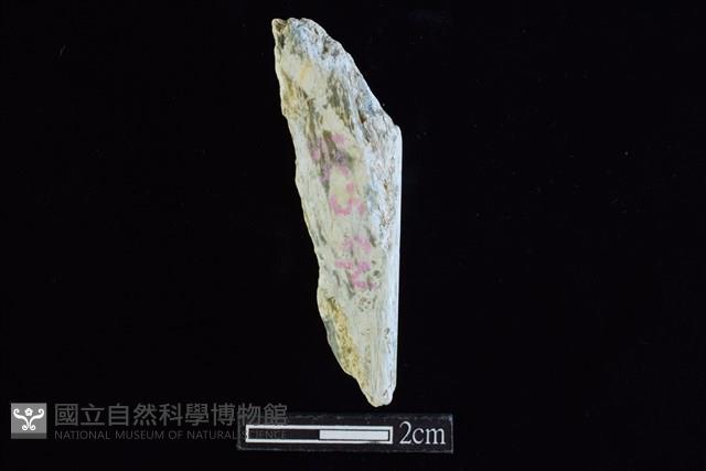 錛鑿形器藏品圖，第2張