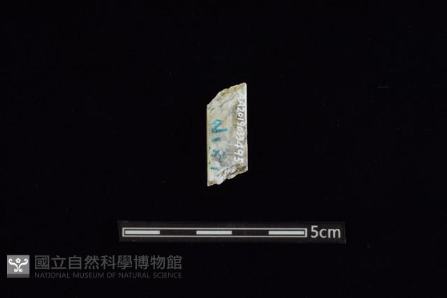 玉料藏品圖，第2張