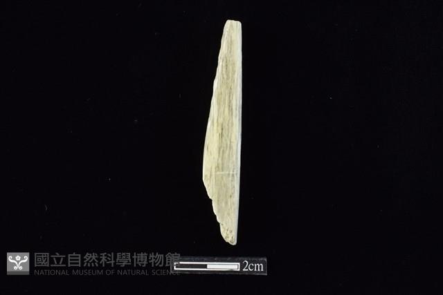 錛鑿形器藏品圖，第1張