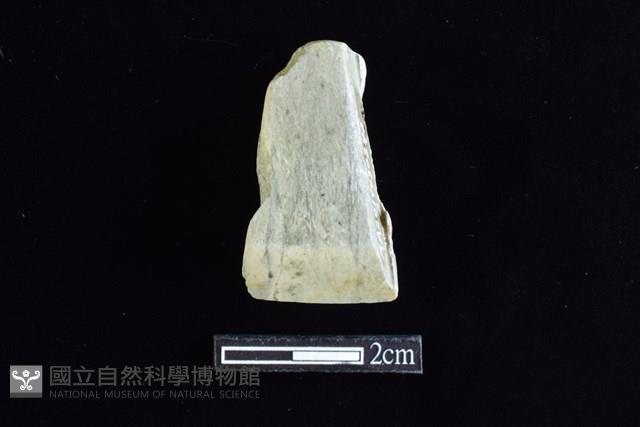 錛鑿形器藏品圖，第1張