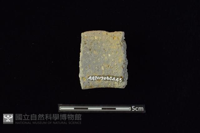 陶罐藏品圖，第2張