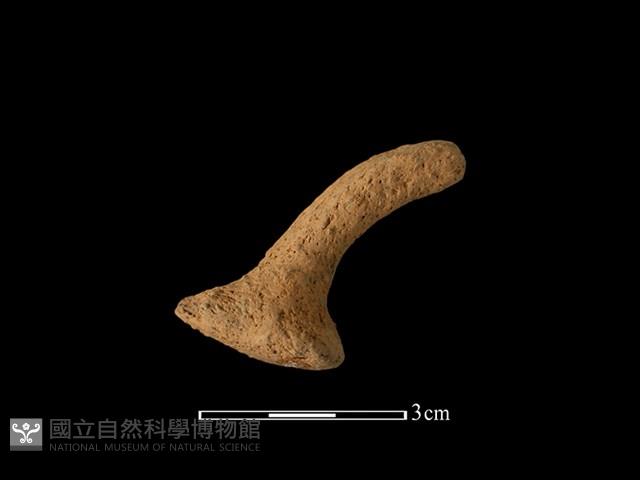 陶把藏品圖，第1張