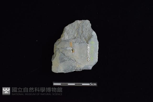 戈形器藏品圖，第2張