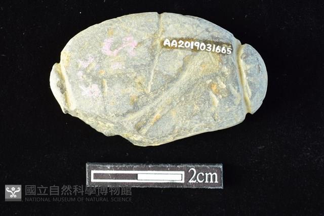 網墜藏品圖，第2張