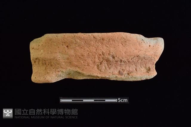 陶罐藏品圖，第1張