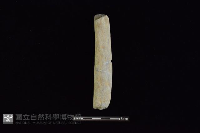 石鎚藏品圖，第1張