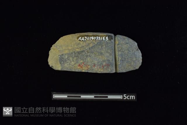 網墜藏品圖，第1張