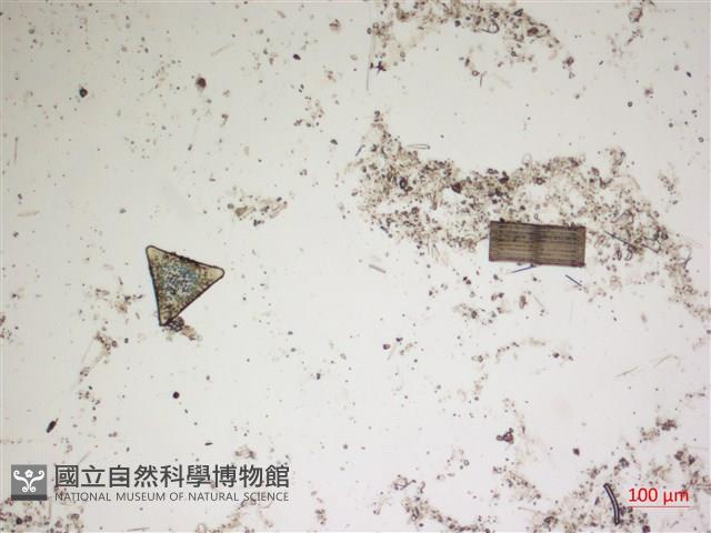 登錄號:A00004565藏品圖，第3張