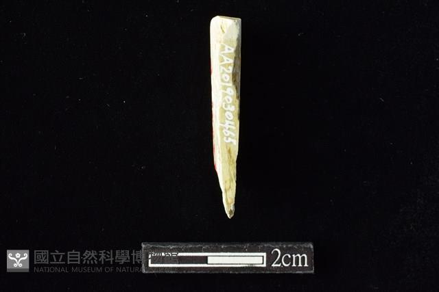 錛鑿形器藏品圖，第2張
