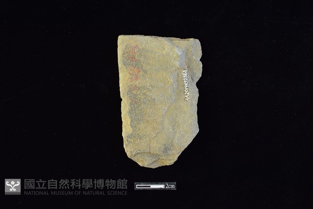 斧鋤形器藏品圖，第2張