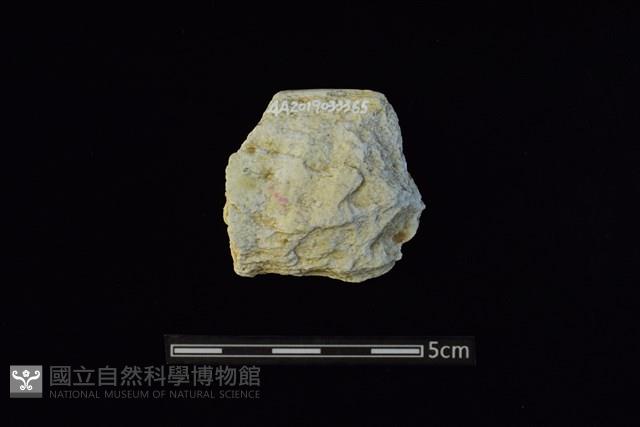 Accession Number:AA2019033365 Collection Image, Figure 2, Total 2 Figures