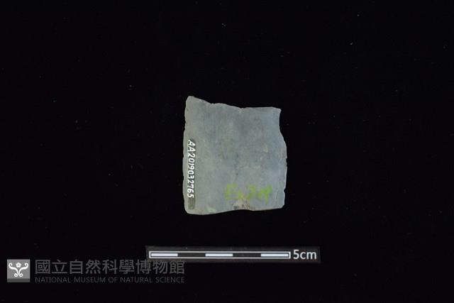 矛鏃形器藏品圖，第2張