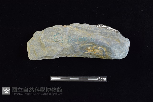 石器殘件藏品圖，第2張