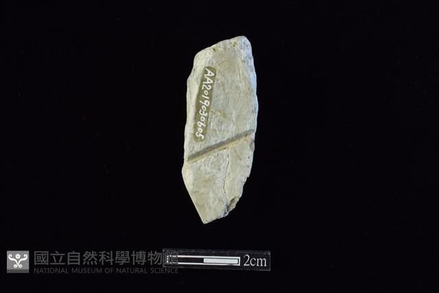 玉料藏品圖，第2張