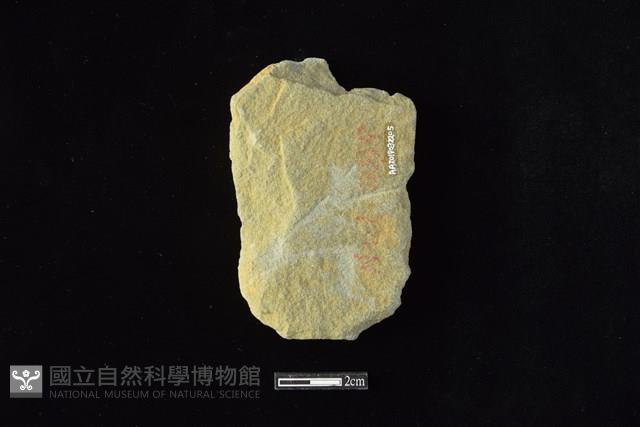 斧鋤形器藏品圖，第2張