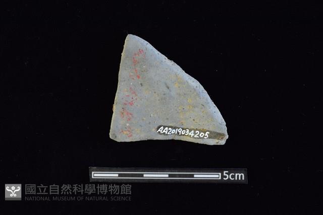 陶片藏品圖，第2張