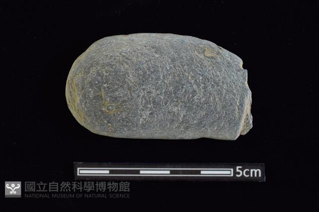 網墜藏品圖，第1張