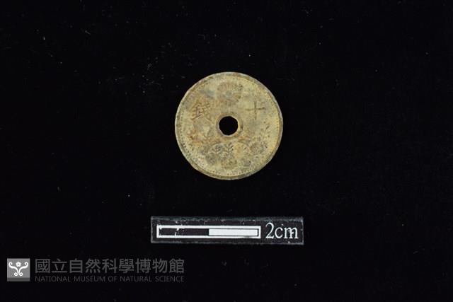 錢幣藏品圖，第2張