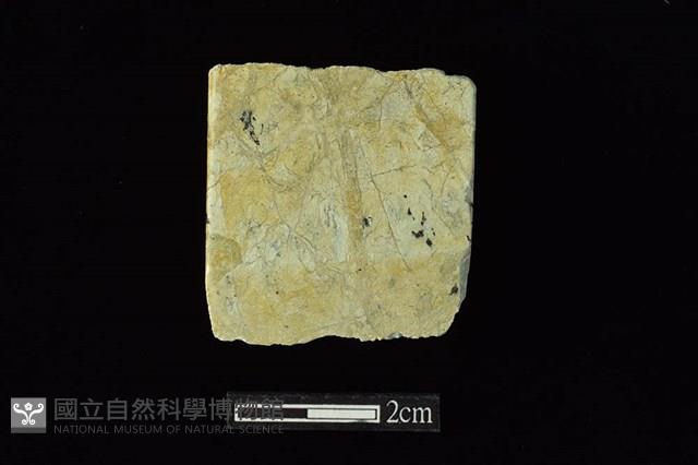 錛鑿形器藏品圖，第1張