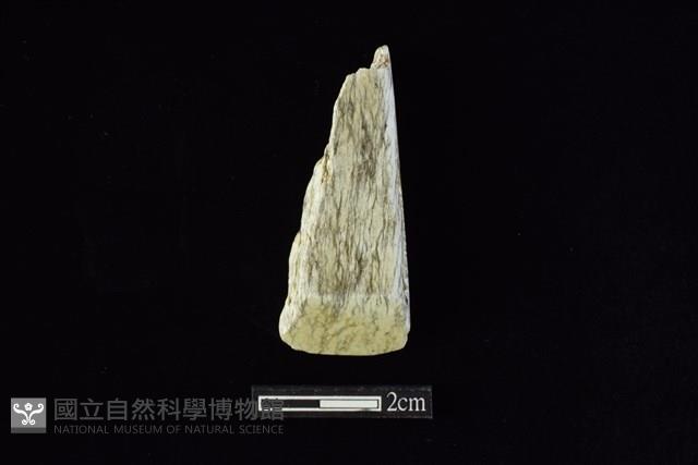 錛鑿形器藏品圖，第1張