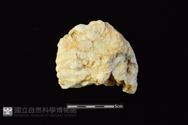 石材藏品圖，第2張