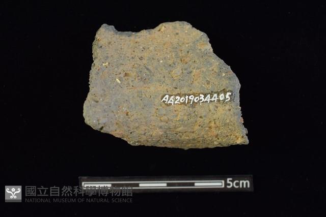 陶罐藏品圖，第2張