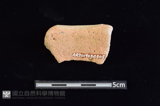陶罐藏品圖，第2張