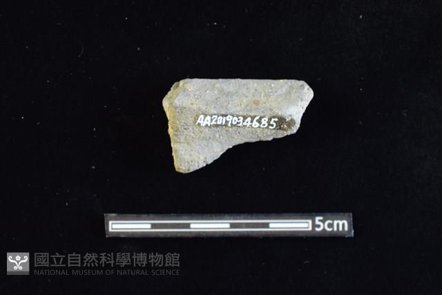 陶缽藏品圖，第2張