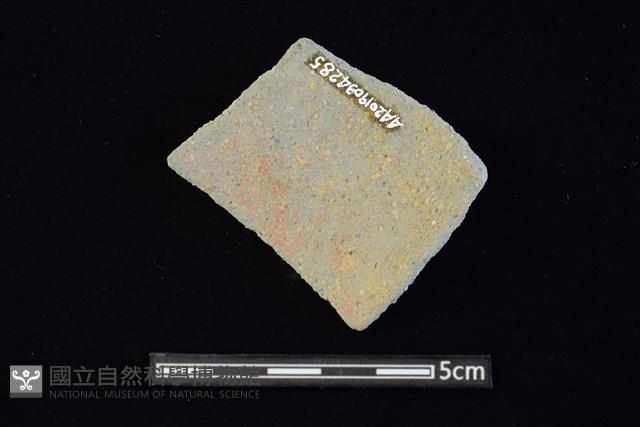 陶片藏品圖，第2張