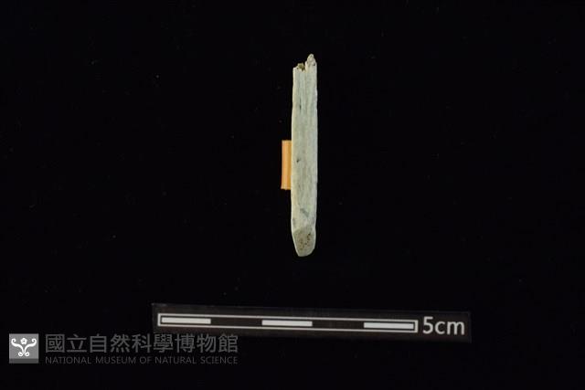 錛鑿形器藏品圖，第1張