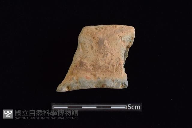 陶罐藏品圖，第1張