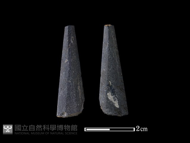 矛鏃形器藏品圖，第1張
