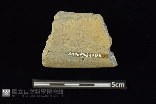 圈足藏品圖，第2張