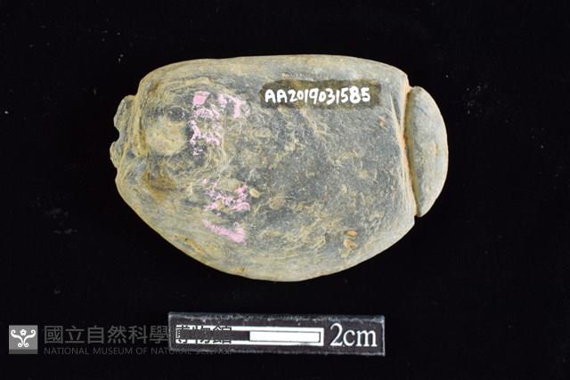 網墜藏品圖，第2張