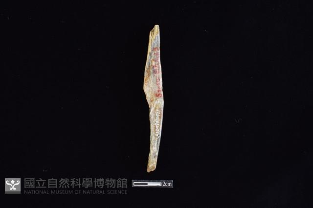 錛鑿形器藏品圖，第2張