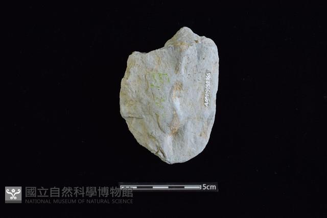 斧鋤形器藏品圖，第2張