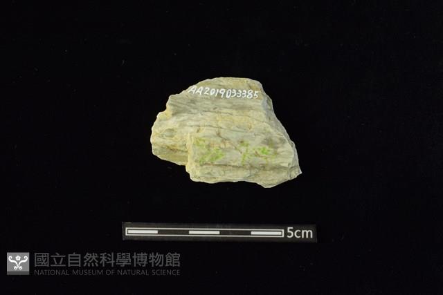 Accession Number:AA2019033385 Collection Image, Figure 2, Total 2 Figures